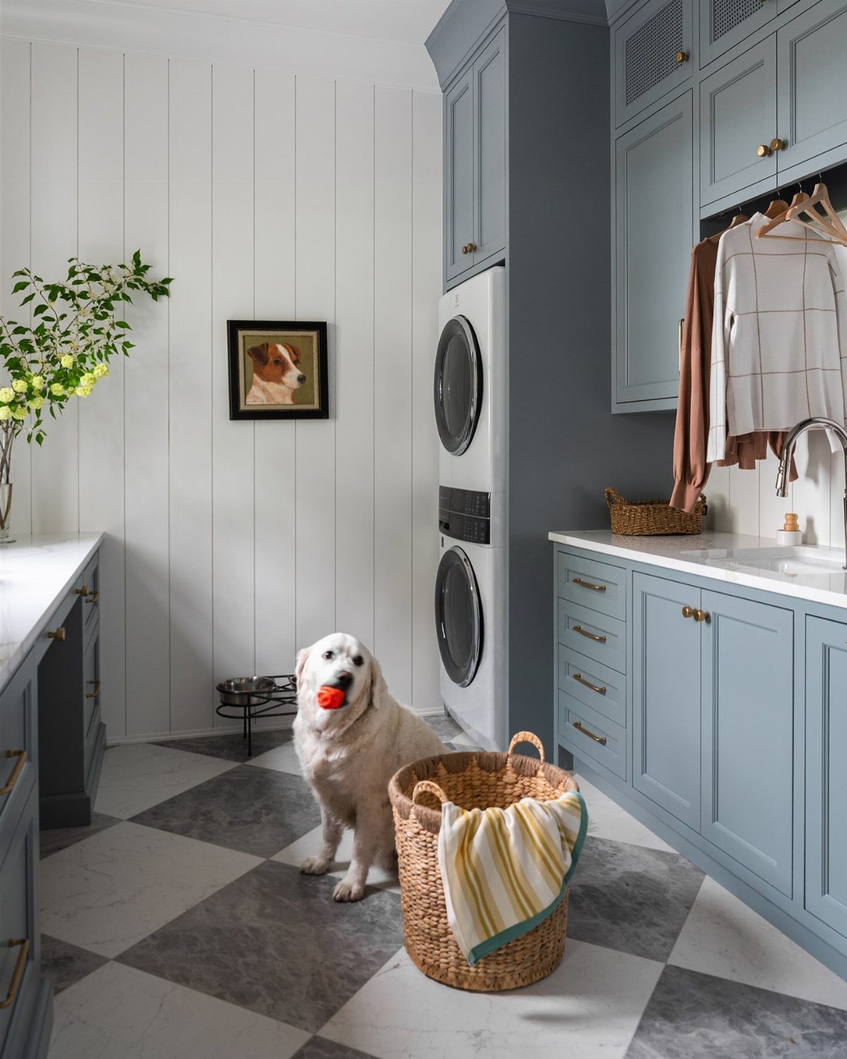 Blue-grey laundry room cabinets and white paneled walls with a white dog.